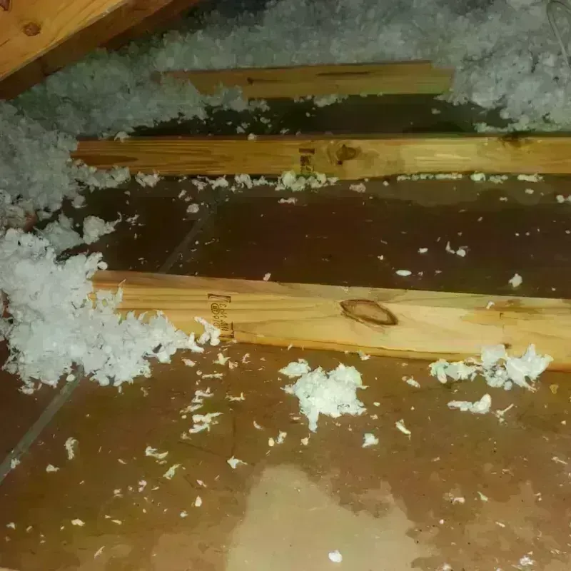 Attic Water Damage in Brogden, NC