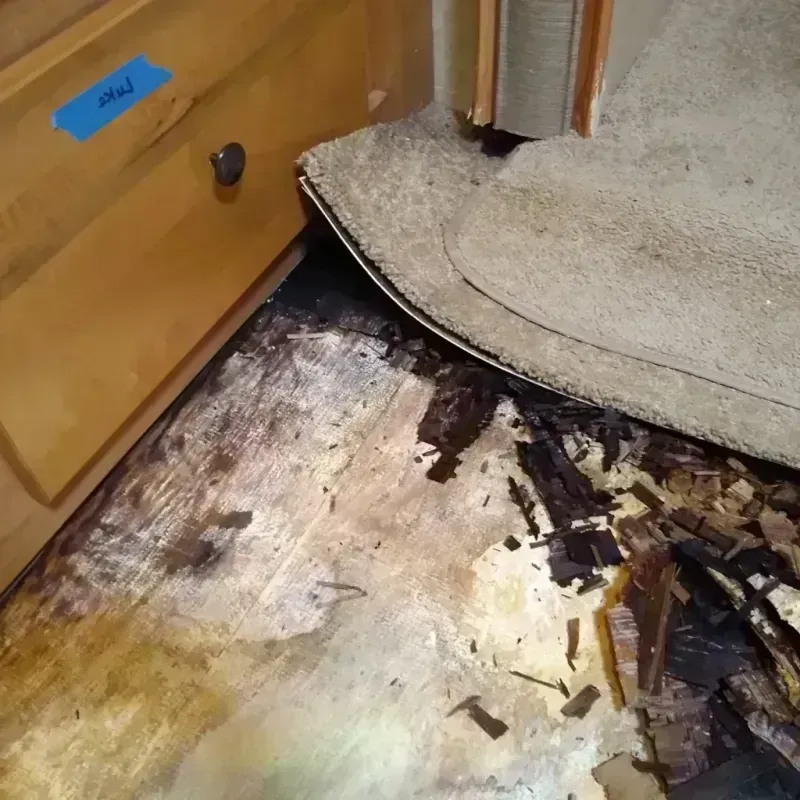 Best Wood Floor Water Damage Service in Brogden, NC